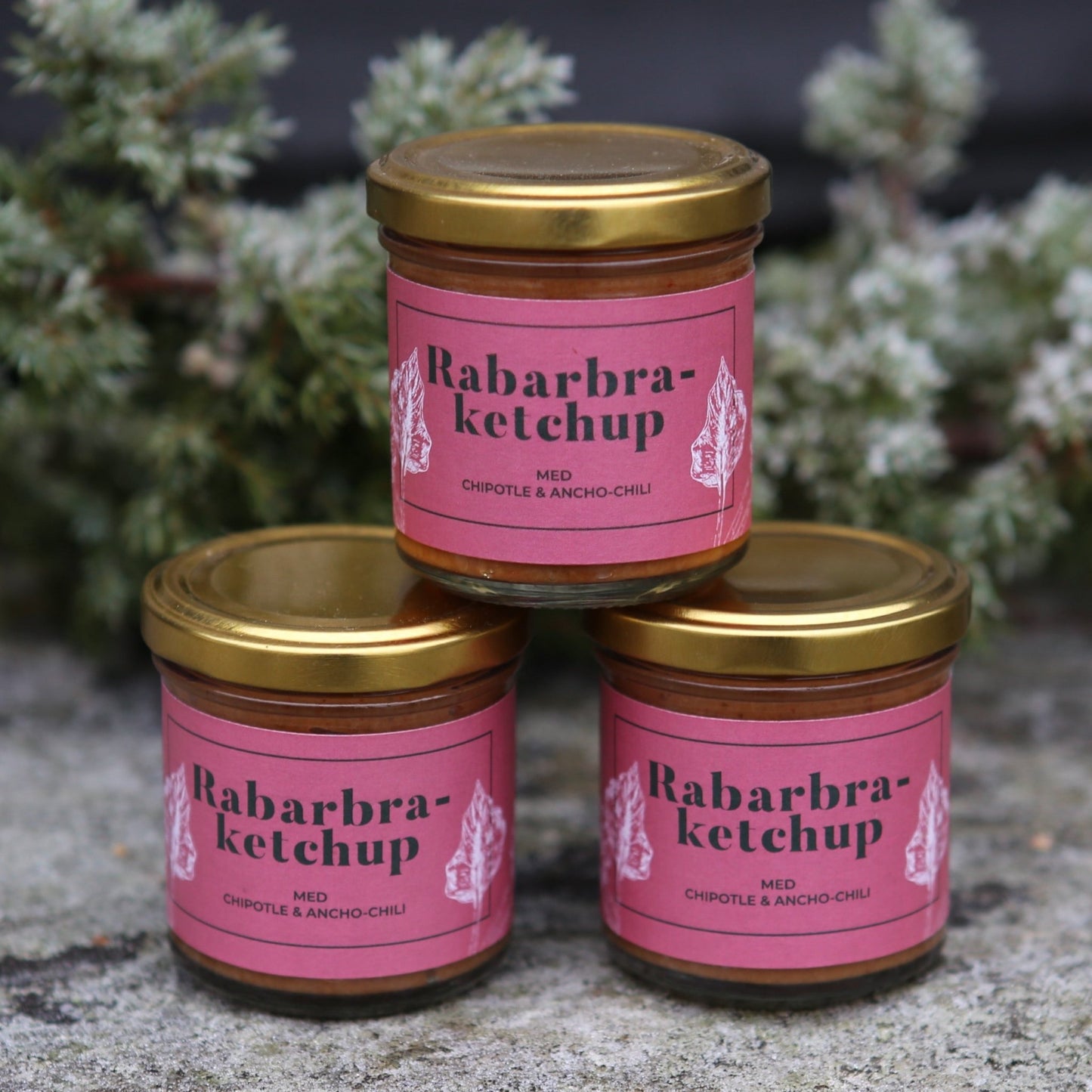 Rabarbra - ketchup - Symrehudkrem